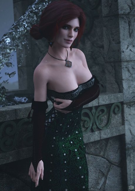 The Witcher