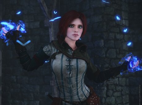 The Witcher