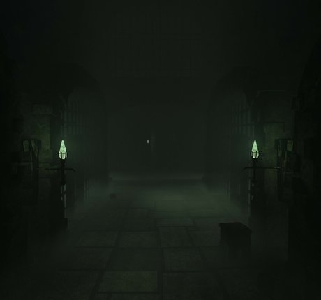 The Witcher