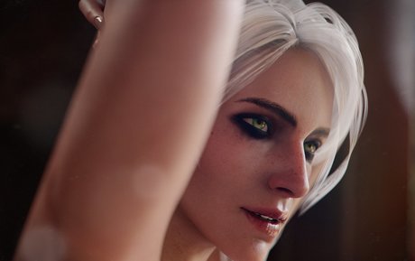 The Witcher