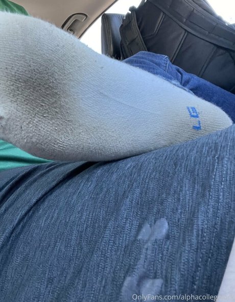 Alphacollegejock