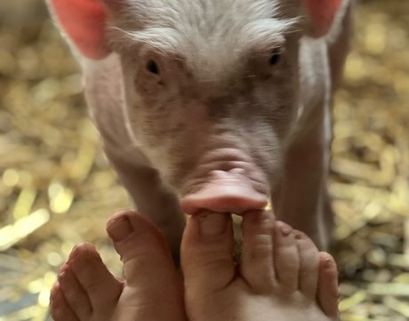Naakte gelekte OnlyFans-foto van Dutchfarmgirl