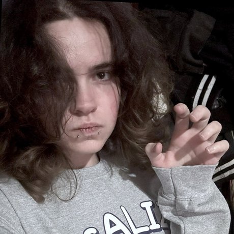  Vexx 
