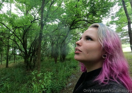 Koalakittyyy