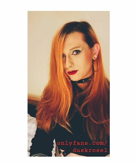 Dusk Rose