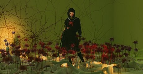 Visagefox