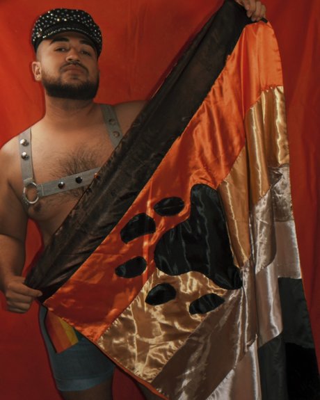 Oso Laredo