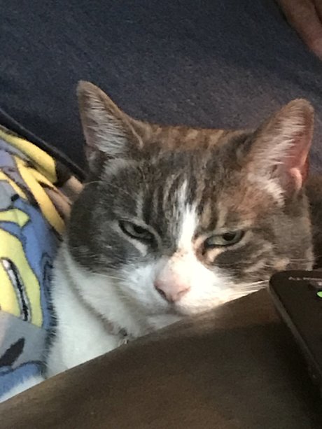Naakte gelekte OnlyFans-foto van Pussyeater