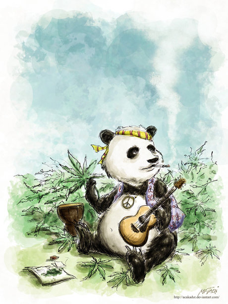 Panda