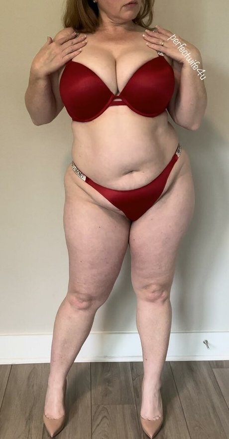 The Perfect Wife
