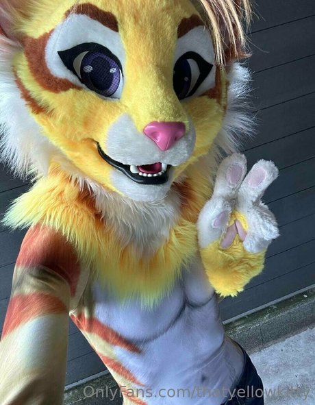 Thatyellowkitty
