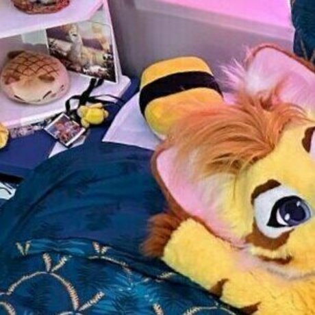 Thatyellowkitty
