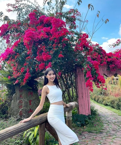 Anita Feifei