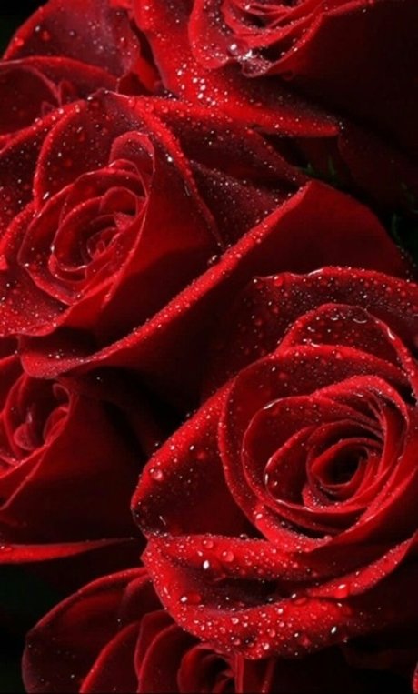 Naakte gelekte OnlyFans-foto van Officialprettyred