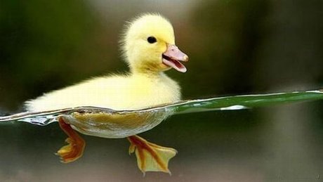 Naakte gelekte OnlyFans-foto van Quacks