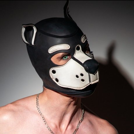 Ryderthek9