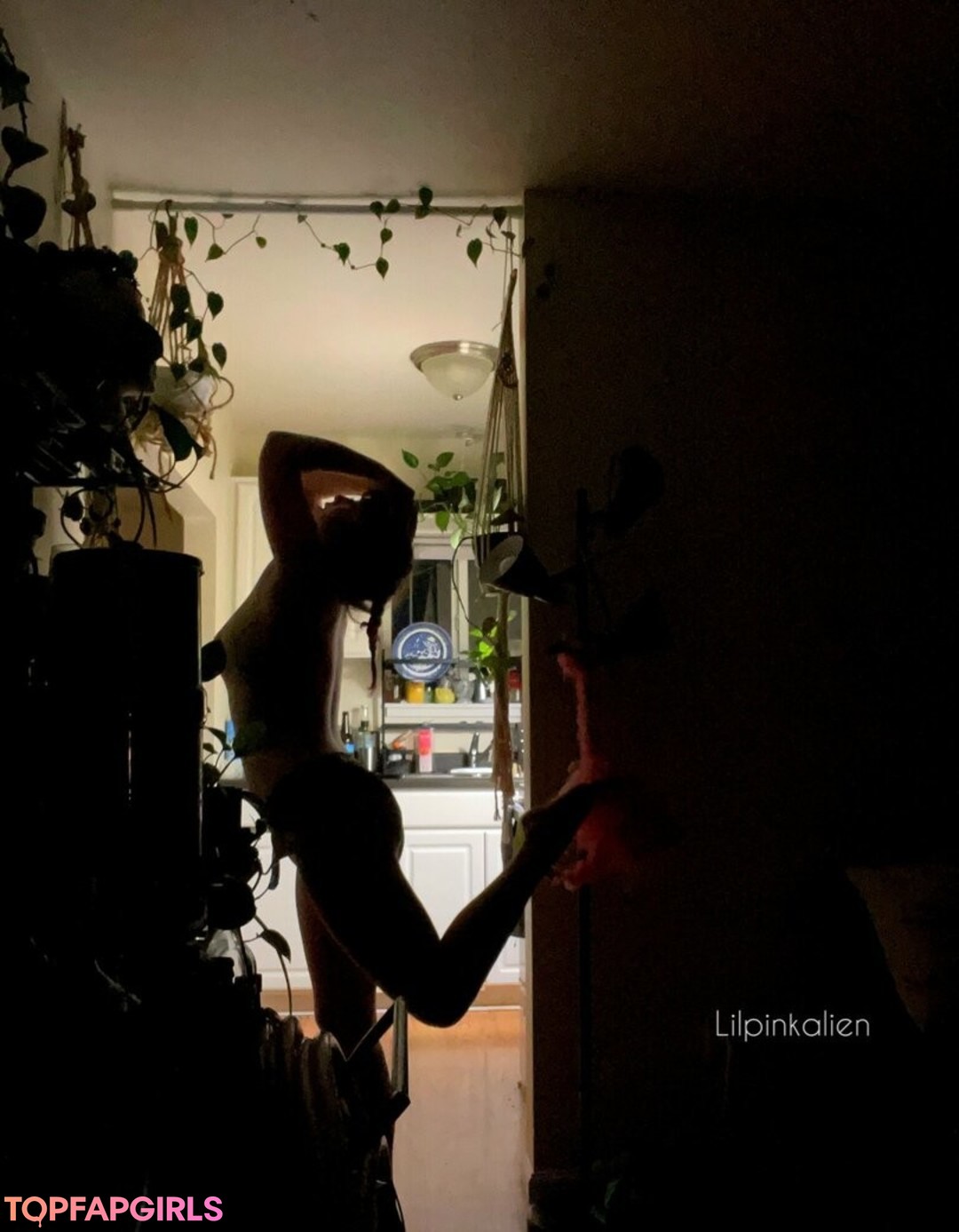 Naakte gelekte OnlyFans-foto van Lilpinkalien #1171