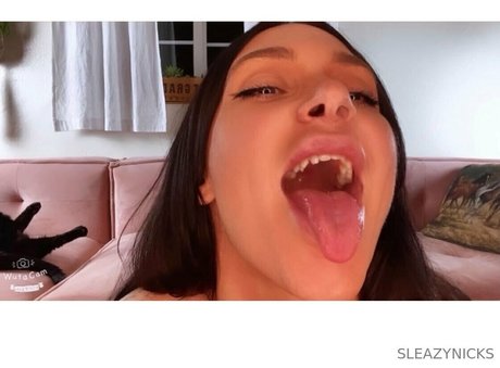 Sleazynicks
