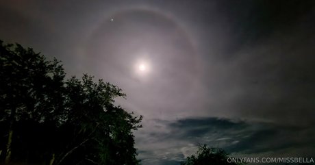 MissBella