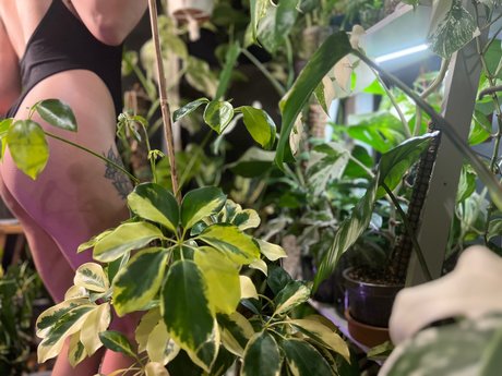 Naakte gelekte OnlyFans-foto van Plantfeetpics