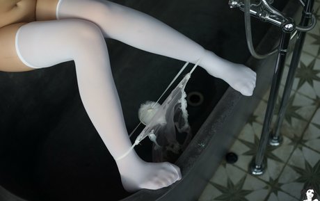 Lambie