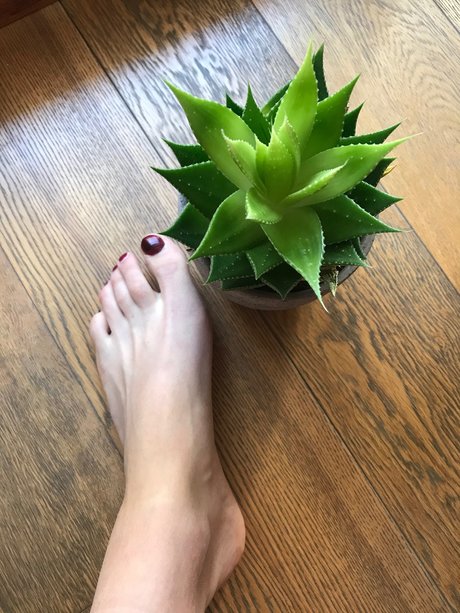Naakte gelekte OnlyFans-foto van Howtosqurt
