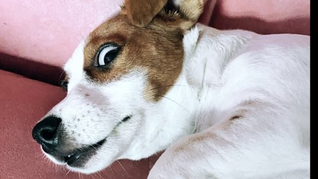 Naakte gelekte OnlyFans-foto van Winyl