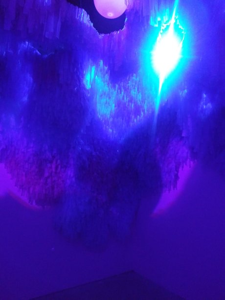 Naakte gelekte OnlyFans-foto van Dakawaiiest Alien