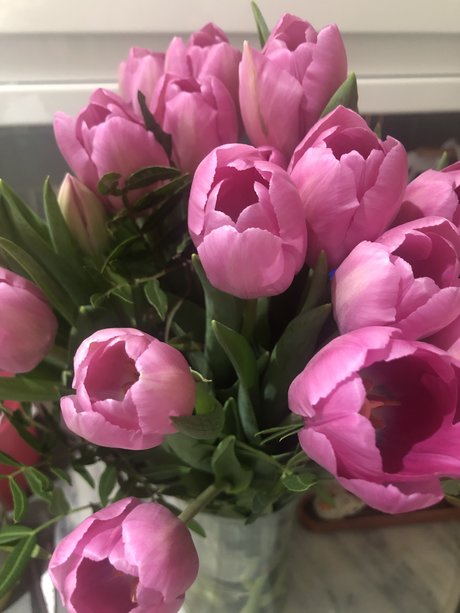 Naakte gelekte OnlyFans-foto van Rosepetal
