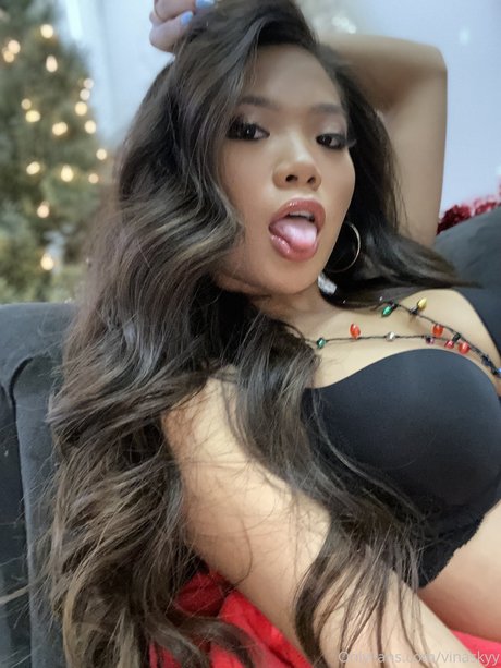 Vina Sky