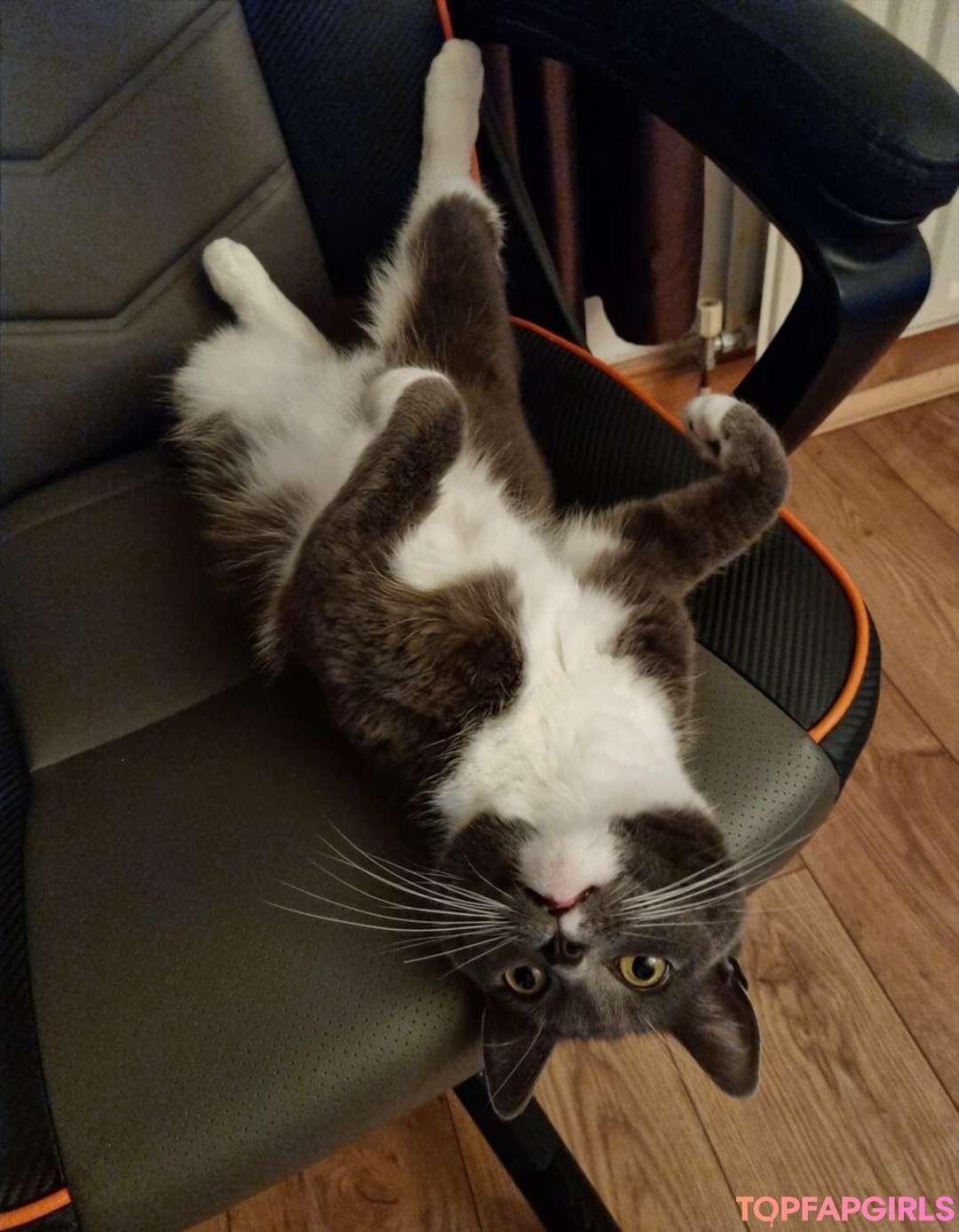 Naakte gelekte OnlyFans-foto van Pufffypink #95 Naakte gelekte OnlyFans-foto van Pufffypink #95