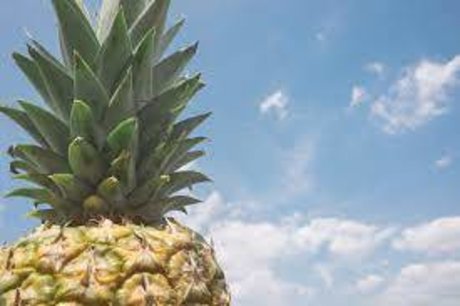 Naakte gelekte OnlyFans-foto van Pineappleflow