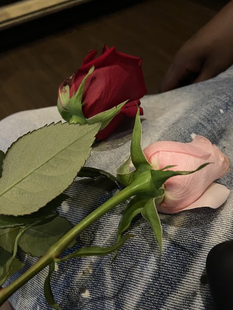 Naakte gelekte OnlyFans-foto van Blueyedcrush