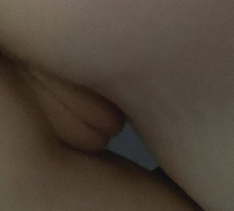 Honeydommj