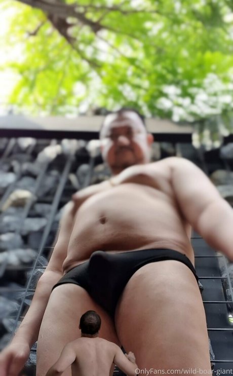 Wild-boar-giant
