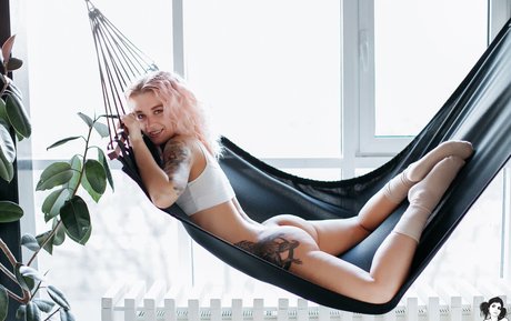 Pollypolly