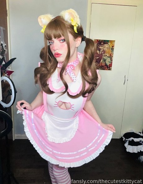 Thecutestkittycat