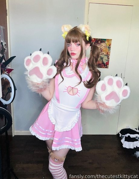 Thecutestkittycat