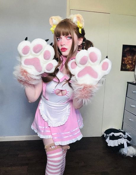 Thecutestkittycat