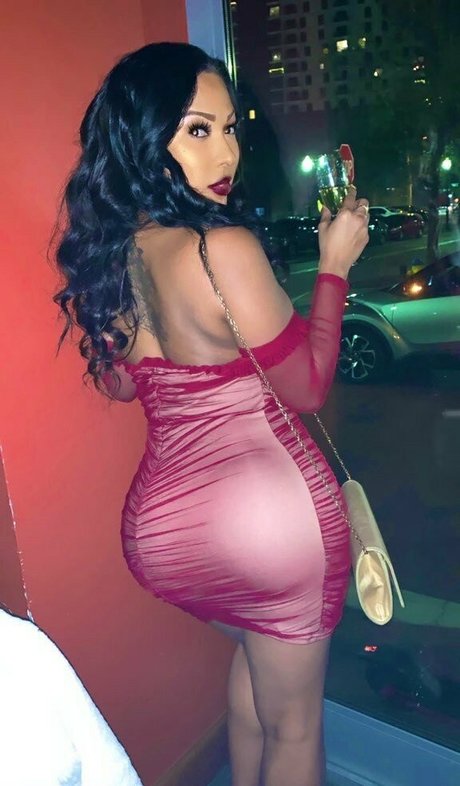Sashastallion