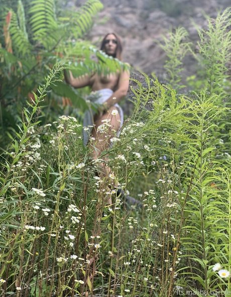 Naakte gelekte OnlyFans-foto van Malibubarbiexx