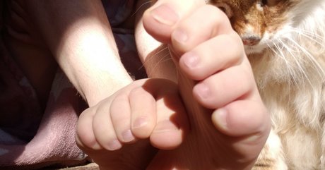 Softcorekittyx