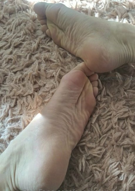 Scentofasilkytoe