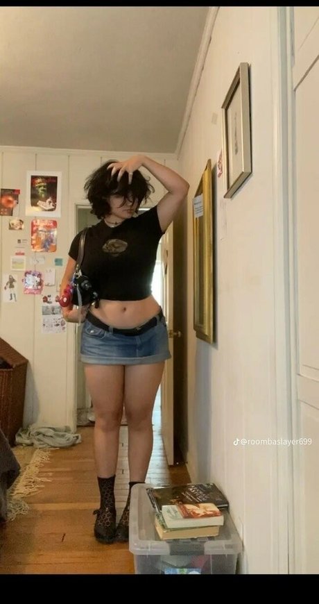 Roombaslayer69
