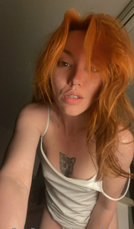 Saraawildee