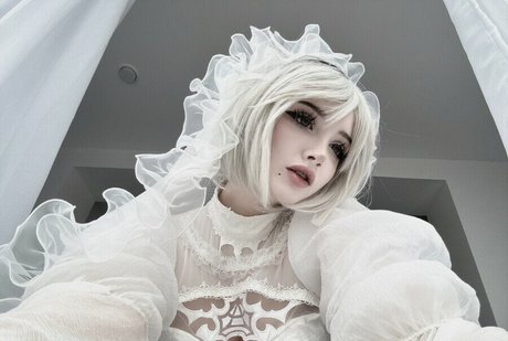 Morphilina