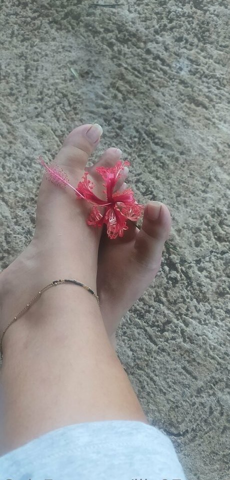 Lila974974