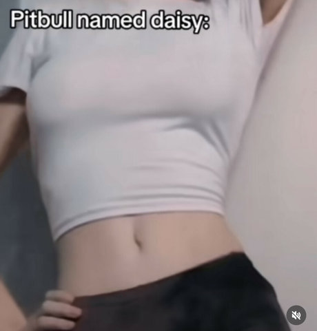 Danny Universe