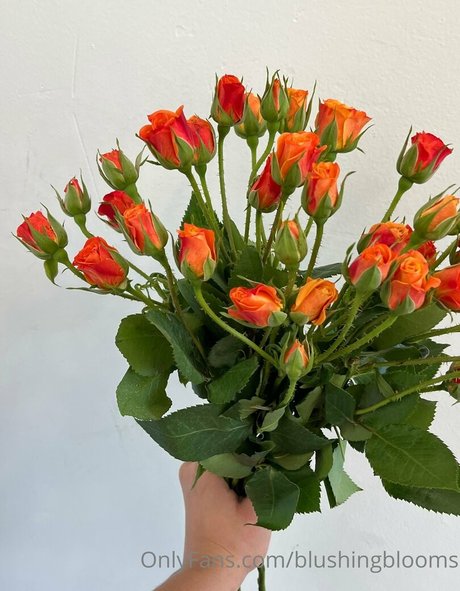 Blushingblooms