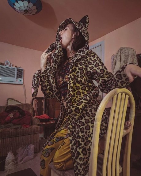 Katcalico